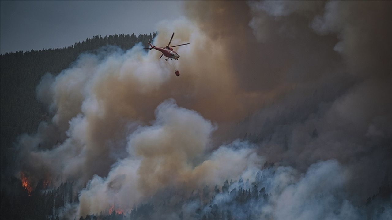İspanya'nın Kuzeyindeki Orman Yangınları Üç Haftadır Sürüyor