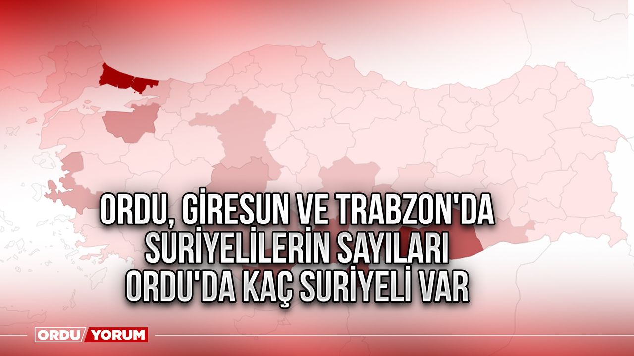 Ordu, Giresun ve Trabzon'da Suriyelilerin Sayıları I Ordu'da Kaç Suriyeli Var