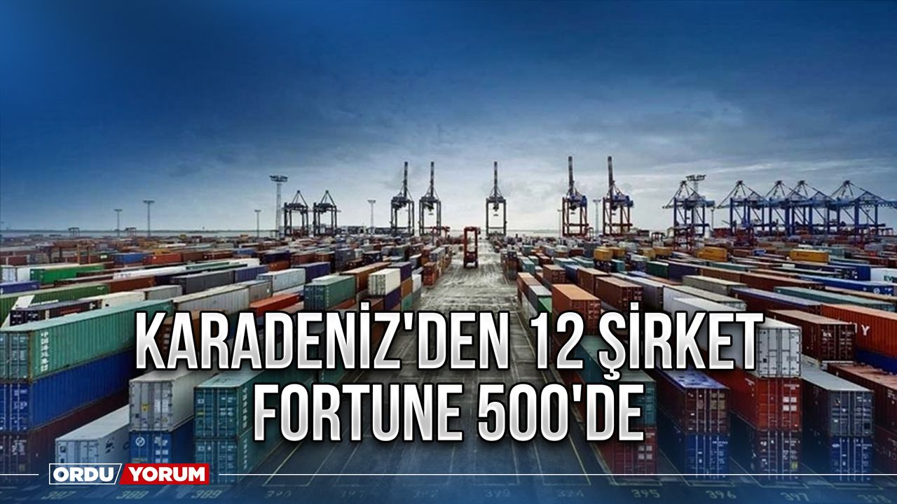 Karadeniz'den 12 şirket Fortune 500'de