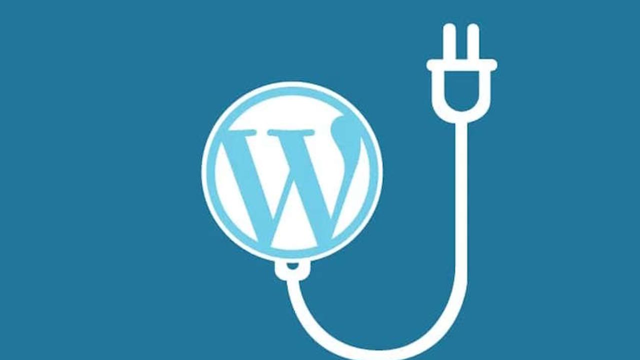 WordPress eklentileri ne işe yarar? WP Eklenti Kullanımı