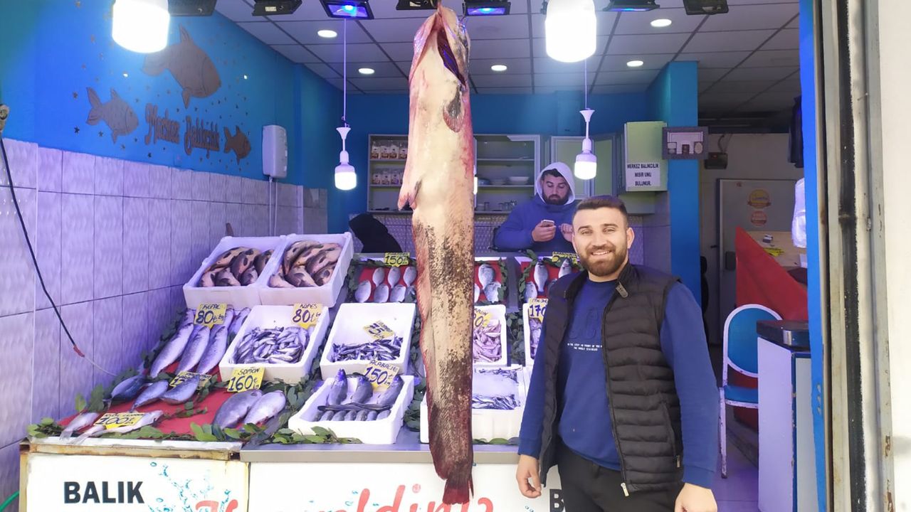 33 kilogramlık yayın balığı yakalandı