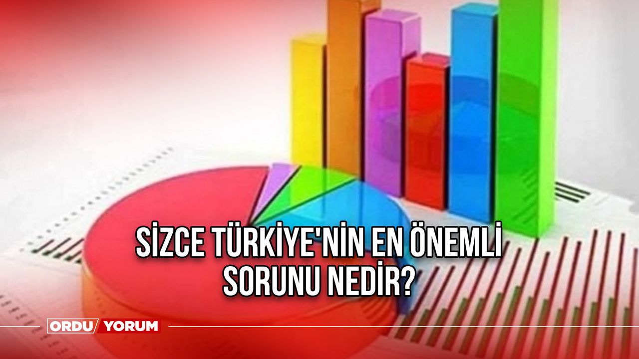 Sizce Türkiye'nin en önemli sorunu nedir?