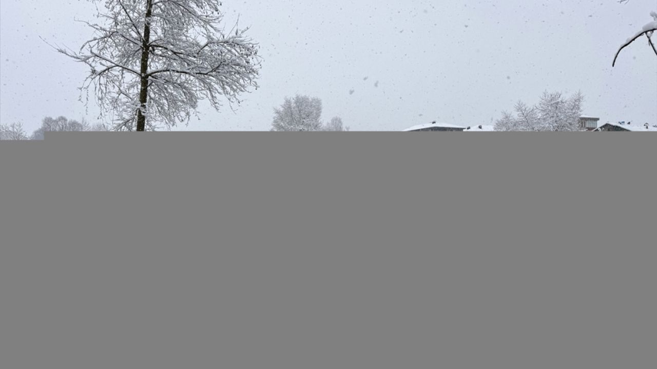 Düzce ve Bartın'da 72 köy yolu kar nedeniyle ulaşıma kapandı