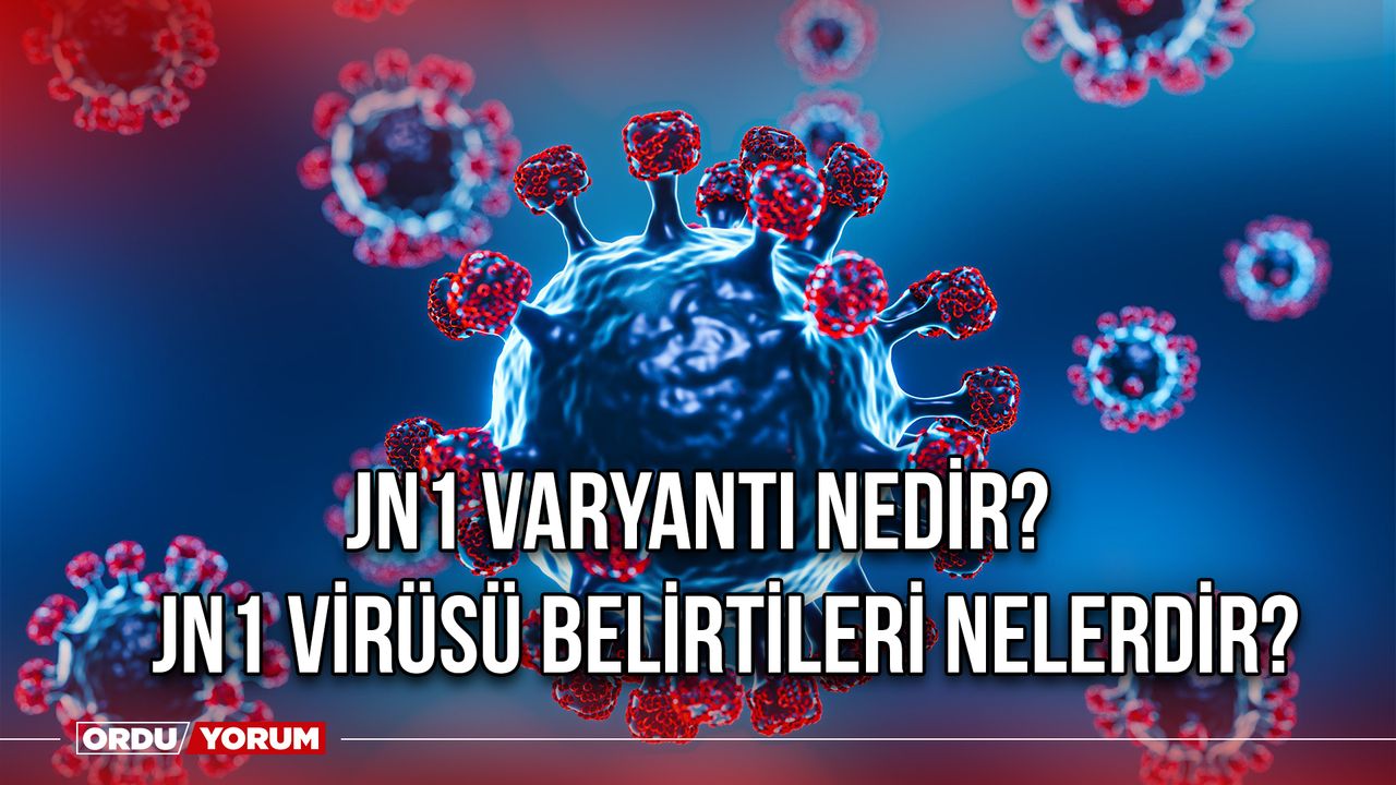 JN1 Varyantı Nedir? JN1 Virüsü Belirtileri Nelerdir?