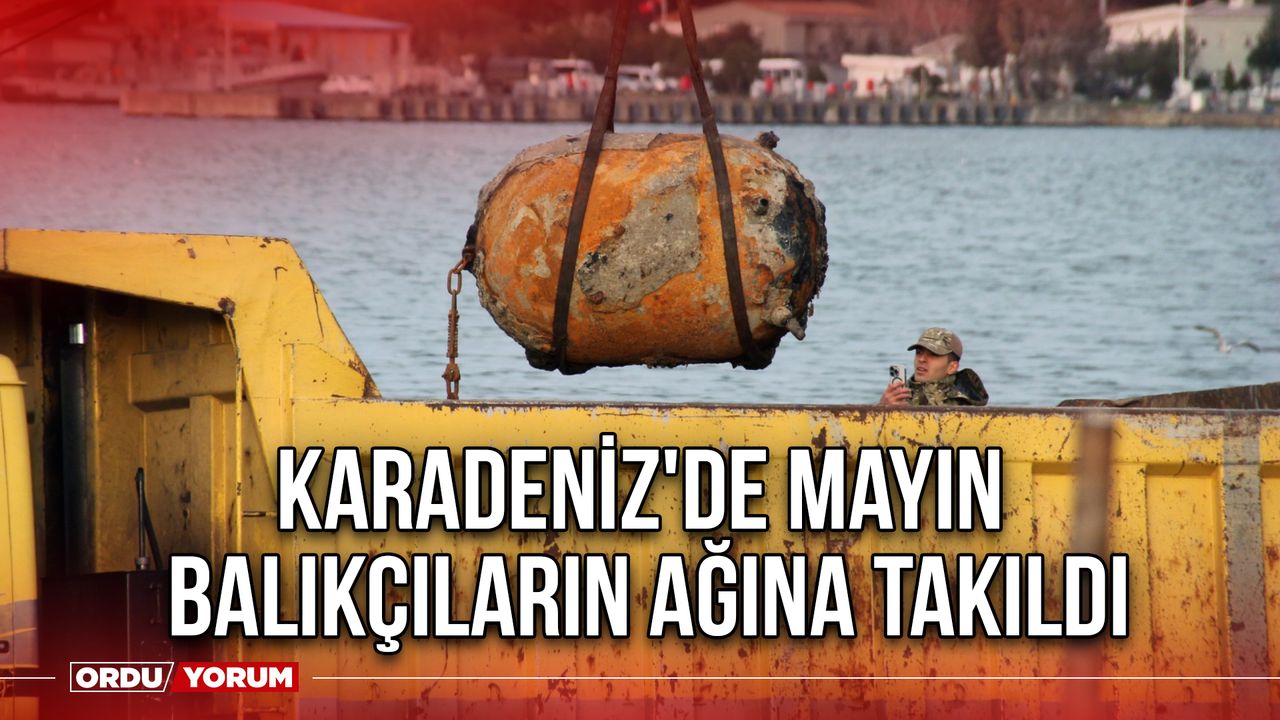 Karadeniz'de Mayın Balıkçıların Ağına Takıldı