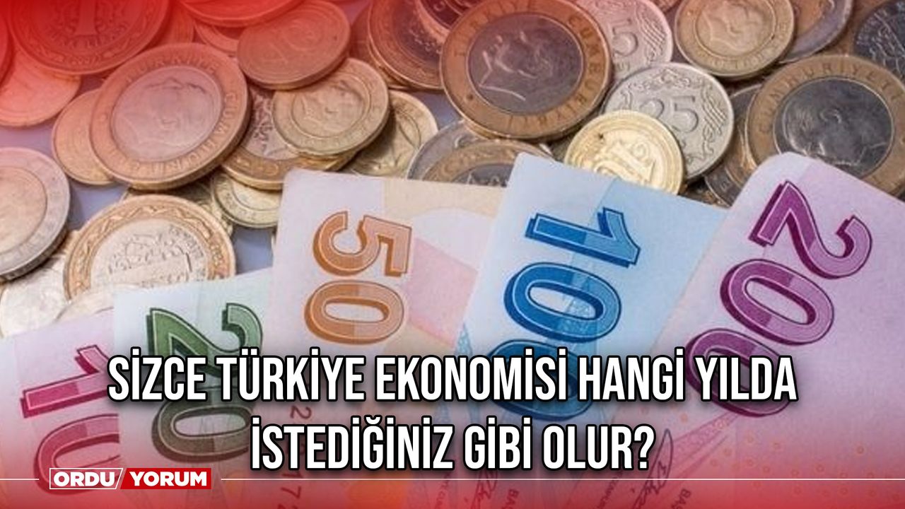 Sizce Türkiye ekonomisi hangi yılda istediğiniz gibi olur?