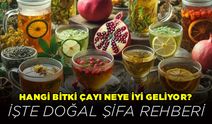 Hangi Bitki Çayı Neye İyi Geliyor? İşte Doğal Şifa Rehberi
