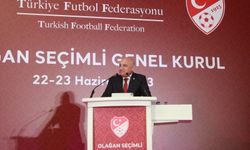 Mehmet Büyükekşi, 4 Yıllığına Yeniden TFF Başkanı Seçildi