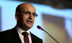 Mehmet Şimşek Dolarizasyon Belasından Kurtulmak İçin…