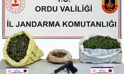 Ordu’da 6 ayda 12 bine yakın esrar ele geçirildi