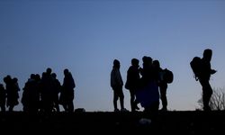 Türkiye'de göçmen sayısı açıklandı