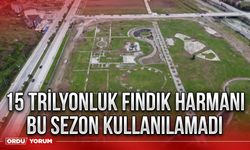 15 trilyonluk fındık harmanı bu sezon kullanılamadı