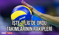 İşte 2.Lig'de Ordu Takımlarının Rakipleri