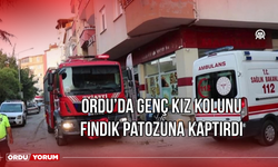 Ordu'da genç kız kolunu fındık patozuna kaptırdı