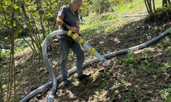 Bulancaklı üretici fındık toplama makinesi ile hasat yaptı