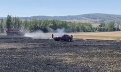 Karabük'te buğday tarlasında çıkan yangın söndürüldü