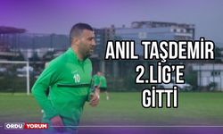 Anıl Taşdemir, 2.Lige Gitti