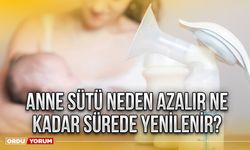 Anne sütü neden azalır ne kadar sürede yenilenir? Anne sütü azalınca tekrar artar mı?