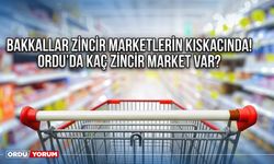 Bakkallar zincir marketlerin kıskacında! Kapanmalar artıyor