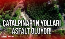 Çatalpınar’ın yolları asfalt oluyor!