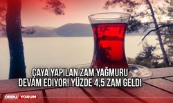 Çaya yapılan zam yağmuru devam ediyor! Yüzde 4,5 zam geldi