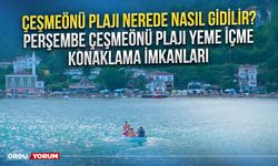 Çeşmeönü Plajı nerede nasıl gidilir? Perşembe Çeşmeönü Plajı yeme içme konaklama imkanları