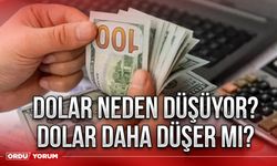 Dolar neden düşüyor? Dolar daha düşer mi?