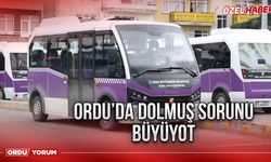 Ordu'da dolmuş sorunu büyüyor I Dolmuş azaldı yolcu arttı!