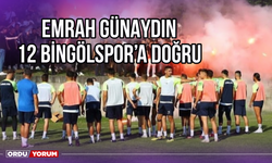 Emrah Günaydın, 12 Bingölspor'a Doğru