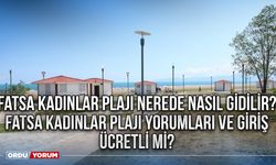 Fatsa Kadınlar Plajı Nerede Nasıl Gidilir? Fatsa Kadınlar Plajı Yorumları ve Giriş Ücretli mi?