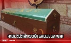 Fındık işçisinin çocuğu bahçede can verdi