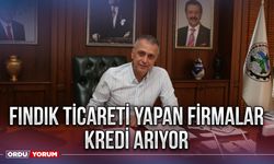 Fındık ticareti yapan firmalar kredi arıyor