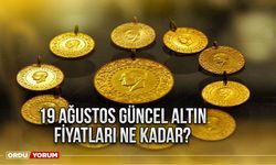 19 Ağustos Güncel Altın Fiyatları Ne Kadar?