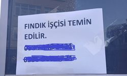 Fındık işçisi iş arıyor