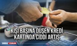 Kişi başına düşen kredi kartında ciddi artış