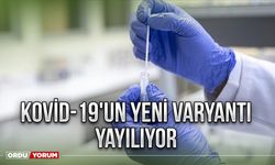 Kovid-19'un Yeni Varyantı Yayılıyor !