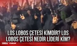 Los Lobos çetesi kimdir? Los Lobos çetesi nedir lideri kim?