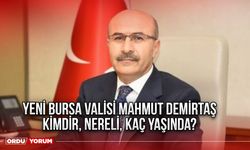 Yeni Bursa Valisi Mahmut Demirtaş kimdir, nereli, kaç yaşında?