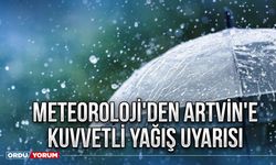 Meteoroloji'den Artvin'e kuvvetli yağış uyarısı