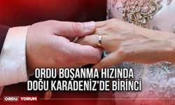 Ordu Boşanma Hızında Doğu Karadeniz'de Birinci