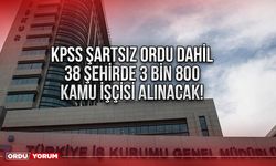 KPSS şartsız Ordu dahil 38 şehirde 3 bin 800 kamu işçisi alınacak!