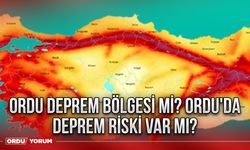 Ordu deprem bölgesi mi? Ordu'da deprem riski var mı?