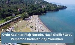 Ordu Kadınlar Plajı Nerede, Nasıl Gidilir? Ordu Perşembe Kadınlar Plajı Yorumları