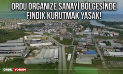 Ordu Organize Sanayi Bölgesinde fındık kurutmak yasak!