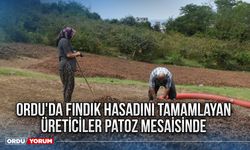 Fındık hasadını tamamlayan üreticiler patoz mesaisinde