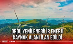 Ordu Yenilenebilir Enerji Kaynak alanı ilan edildi