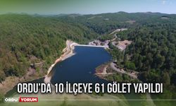 Ordu’da 10 ilçeye 61 gölet yapıldı 