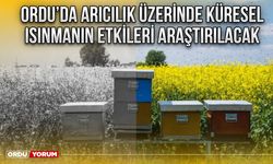 ​Ordu’da arıcılık üzerinde küresel ısınmanın etkileri araştırılacak