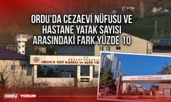 Ordu'da cezaevi nüfusu ve hastane yatak sayısı arasındaki fark yüzde 10