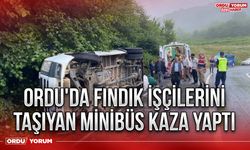 Ordu'da fındık işçilerini taşıyan minibüs kaza yaptı